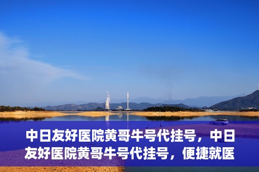 中日友好医院黄哥牛号代挂号，中日友好医院黄哥牛号代挂号，便捷就医背后的故事