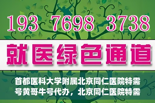 首都医科大学附属北京同仁医院特需号黄哥牛号代办，北京同仁医院特需号黄哥牛号代办，深度解析医疗服务的特殊渠道