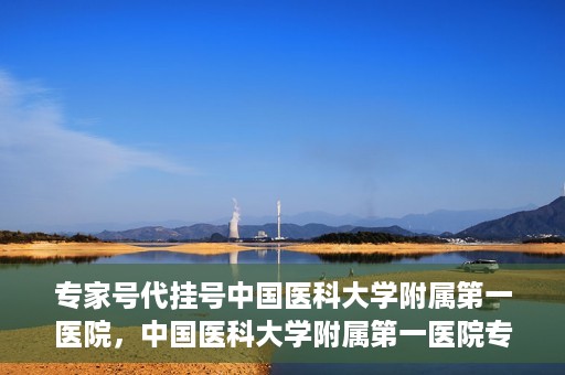 专家号代挂号中国医科大学附属第一医院，中国医科大学附属第一医院专家号代挂号服务解析