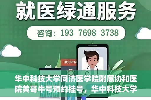 华中科技大学同济医学院附属协和医院黄哥牛号预约挂号，华中科技大学同济医学院附属协和医院黄哥牛号预约挂号攻略解析