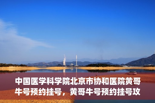 中国医学科学院北京市协和医院黄哥牛号预约挂号，黄哥牛号预约挂号攻略，中国医学科学院北京市协和医院就医指南