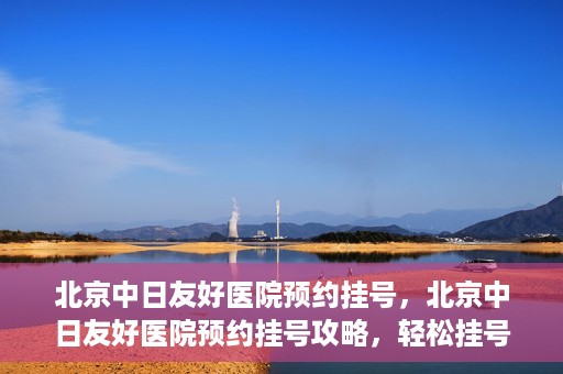 北京中日友好医院预约挂号，北京中日友好医院预约挂号攻略，轻松挂号，就医无忧