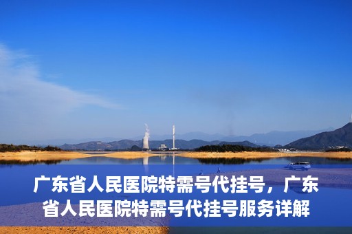 广东省人民医院特需号代挂号，广东省人民医院特需号代挂号服务详解