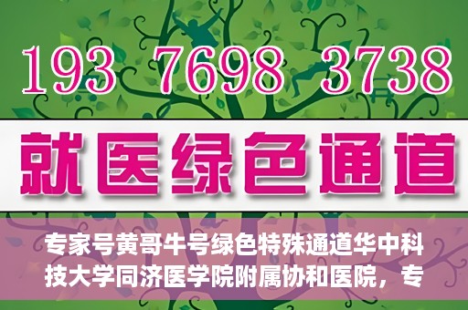 专家号黄哥牛号绿色特殊通道华中科技大学同济医学院附属协和医院，专家黄哥牛号揭秘，华中科技大学同济医学院附属协和医院的绿色特殊通道