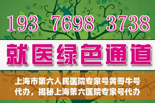 上海市第六人民医院专家号黄哥牛号代办，揭秘上海第六医院专家号代办背后的故事，黄哥牛号代办真相揭秘