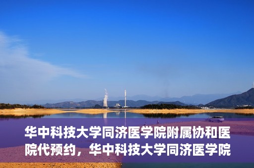 华中科技大学同济医学院附属协和医院代预约，华中科技大学同济医学院附属协和医院便捷代预约服务解析