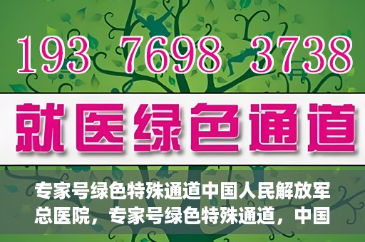 专家号绿色特殊通道中国人民解放军总医院，专家号绿色特殊通道，中国人民解放军总医院医疗服务的深度解读