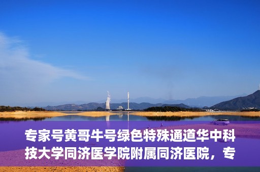 专家号黄哥牛号绿色特殊通道华中科技大学同济医学院附属同济医院，专家解读绿色特殊通道，华中科技大学同济医学院附属同济医院的探索与实践