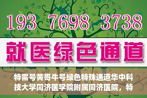 特需号黄哥牛号绿色特殊通道华中科技大学同济医学院附属同济医院，特需号黄哥牛号背后的绿色特殊通道，华中科技大学同济医学院附属同济医院的探索与实践