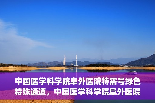 中国医学科学院阜外医院特需号绿色特殊通道，中国医学科学院阜外医院特需号绿色就医通道揭秘