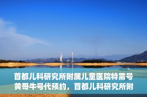 首都儿科研究所附属儿童医院特需号黄哥牛号代预约，首都儿科研究所附属儿童医院特需专家黄哥预约挂号服务解析