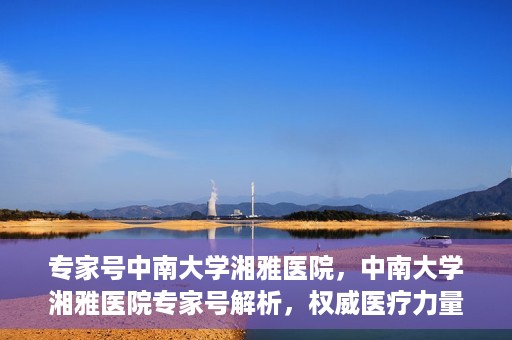 专家号中南大学湘雅医院，中南大学湘雅医院专家号解析，权威医疗力量的深度解读