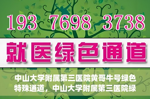 中山大学附属第三医院黄哥牛号绿色特殊通道，中山大学附属第三医院绿色特殊通道，黄哥牛号引领医疗创新之路