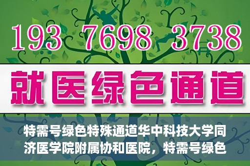 特需号绿色特殊通道华中科技大学同济医学院附属协和医院，特需号绿色通道的奥秘，华中科技大学同济医学院附属协和医院独家解读