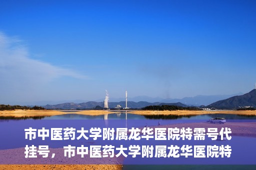 市中医药大学附属龙华医院特需号代挂号，市中医药大学附属龙华医院特需号源代挂号服务解析