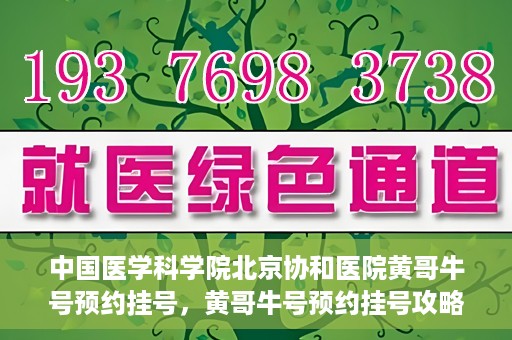 中国医学科学院北京协和医院黄哥牛号预约挂号，黄哥牛号预约挂号攻略，中国医学科学院北京协和医院就医指南