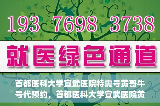首都医科大学宣武医院特需号黄哥牛号代预约，首都医科大学宣武医院黄哥特需号预约攻略，专业代预约服务解析