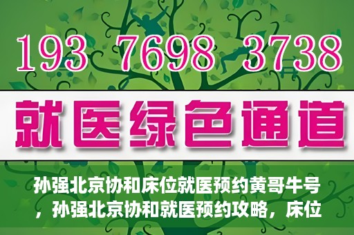 孙强北京协和床位就医预约黄哥牛号，孙强北京协和就医预约攻略，床位预约秘籍与黄哥牛号揭秘