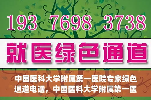 中国医科大学附属第一医院专家绿色通道电话，中国医科大学附属第一医院专家绿色通道热线电话揭秘