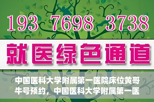 中国医科大学附属第一医院床位黄哥牛号预约，中国医科大学附属第一医院床位预约攻略，黄哥牛号预约详解