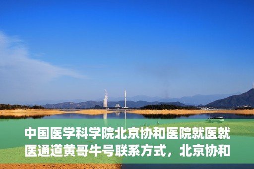 中国医学科学院北京协和医院就医就医通道黄哥牛号联系方式，北京协和医院就医通道解析，黄哥牛号联系方式揭秘