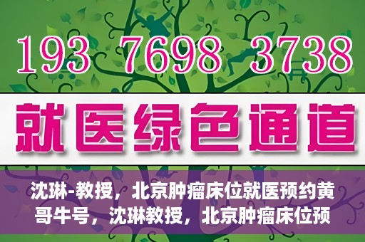 沈琳-教授，北京肿瘤床位就医预约黄哥牛号，沈琳教授，北京肿瘤床位预约秘籍揭秘——黄哥牛号引领就医新风尚
