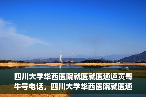 四川大学华西医院就医就医通道黄哥牛号电话，四川大学华西医院就医通道解析，黄哥牛号电话背后的就医便利之道