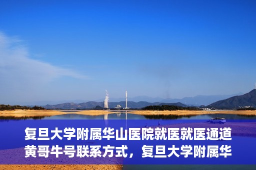 复旦大学附属华山医院就医就医通道黄哥牛号联系方式，复旦大学附属华山医院就医通道，黄哥牛号联系方式全解析