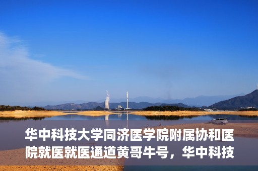 华中科技大学同济医学院附属协和医院就医就医通道黄哥牛号，华中科技大学同济医学院附属协和医院就医通道详解，黄哥牛号引领就医新体验