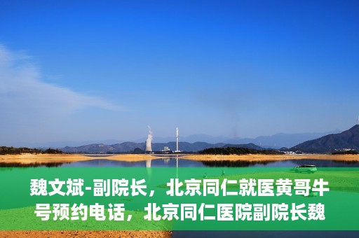 魏文斌-副院长，北京同仁就医黄哥牛号预约电话，北京同仁医院副院长魏文斌，就医黄哥牛号预约电话解析
