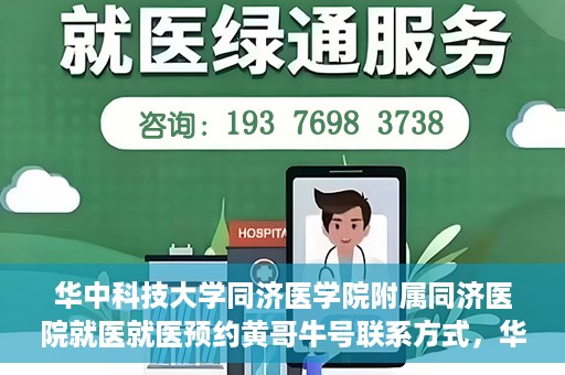 华中科技大学同济医学院附属同济医院就医就医预约黄哥牛号联系方式，华中科技大学同济医院就医预约联系方式揭秘，黄哥牛号预约渠道及联系方式解析