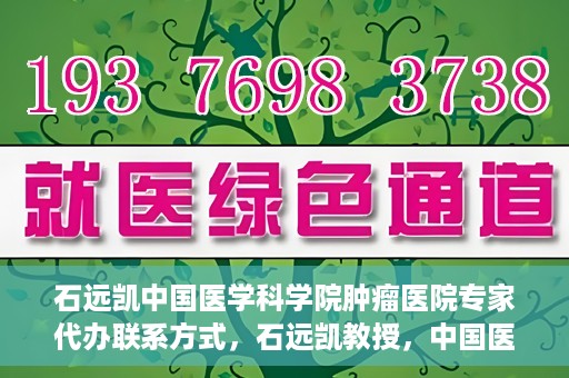 石远凯中国医学科学院肿瘤医院专家代办联系方式，石远凯教授，中国医学科学院肿瘤医院专家联系方式及预约代办指南