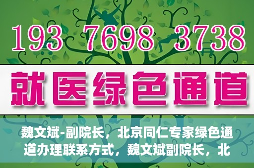 魏文斌-副院长，北京同仁专家绿色通道办理联系方式，魏文斌副院长，北京同仁专家绿色通道联系方式全解析