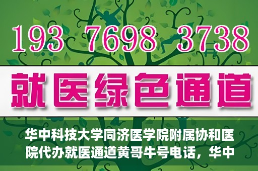 华中科技大学同济医学院附属协和医院代办就医通道黄哥牛号电话，华中科技大学同济医学院附属协和医院代办就医通道揭秘，黄哥牛号联系电话曝光