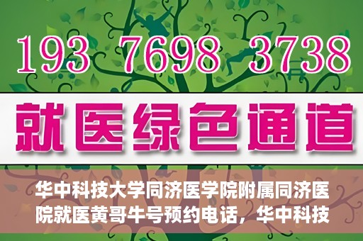 华中科技大学同济医学院附属同济医院就医黄哥牛号预约电话，华中科技大学同济医院就医黄哥牛号预约热线解析