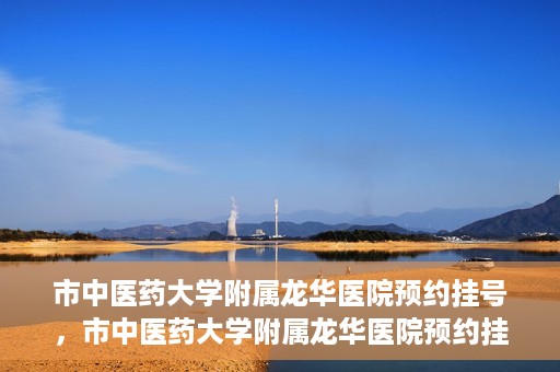 市中医药大学附属龙华医院预约挂号，市中医药大学附属龙华医院预约挂号攻略，一站式解决您的挂号难题