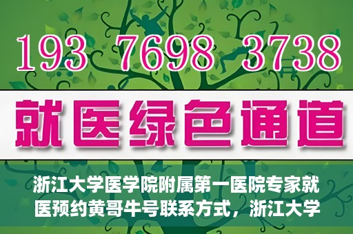 浙江大学医学院附属第一医院专家就医预约黄哥牛号联系方式，浙江大学医学院附属第一医院专家就医预约，黄哥牛号联系方式全解析