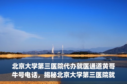 北京大学第三医院代办就医通道黄哥牛号电话，揭秘北京大学第三医院就医代办通道背后的黄哥牛号电话秘密