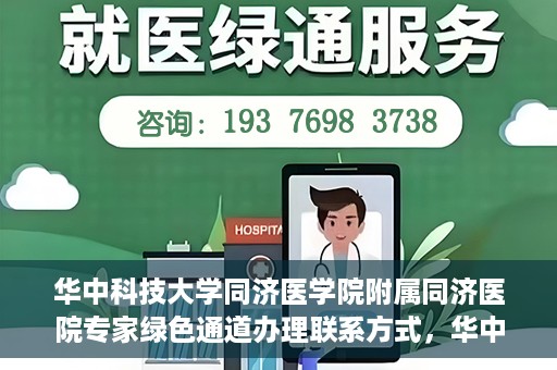 华中科技大学同济医学院附属同济医院专家绿色通道办理联系方式，华中科技大学同济医院专家绿色通道联系指南，快速办理秘籍与联系方式揭秘