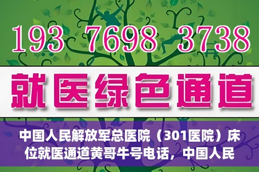 中国人民解放军总医院（301医院）床位就医通道黄哥牛号电话，中国人民解放军总医院（301医院）床位预约就医通道详解，黄哥牛号电话与预约指南