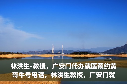 林洪生-教授，广安门代办就医预约黄哥牛号电话，林洪生教授，广安门就医预约背后的故事，黄哥牛号电话揭秘
