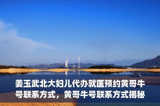 姜玉武北大妇儿代办就医预约黄哥牛号联系方式，黄哥牛号联系方式揭秘，预约姜玉武北大妇儿就医新渠道