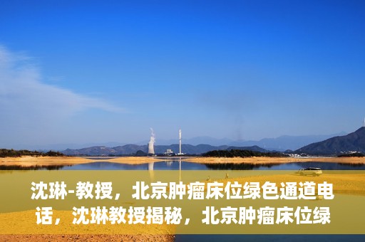 沈琳-教授，北京肿瘤床位绿色通道电话，沈琳教授揭秘，北京肿瘤床位绿色通道电话直达服务