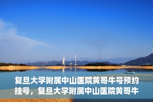 复旦大学附属中山医院黄哥牛号预约挂号，复旦大学附属中山医院黄哥牛号预约挂号攻略解析