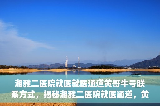 湘雅二医院就医就医通道黄哥牛号联系方式，揭秘湘雅二医院就医通道，黄哥牛号联系方式及就医指南