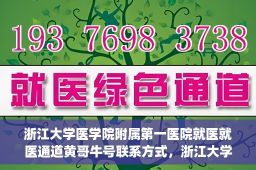 浙江大学医学院附属第一医院就医就医通道黄哥牛号联系方式，浙江大学医学院附属第一医院就医通道详解，黄哥牛号联系方式全攻略