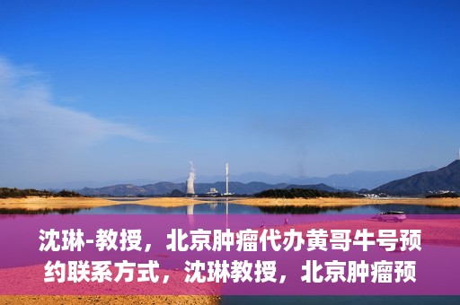 沈琳-教授，北京肿瘤代办黄哥牛号预约联系方式，沈琳教授，北京肿瘤预约联系方式及黄哥牛号预约解析