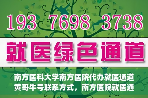 南方医科大学南方医院代办就医通道黄哥牛号联系方式，南方医院就医通道代办服务揭秘，黄哥牛号联系方式及代办流程解析