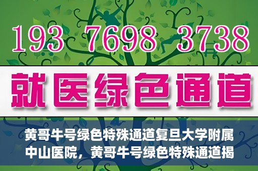 黄哥牛号绿色特殊通道复旦大学附属中山医院，黄哥牛号绿色特殊通道揭秘，复旦大学附属中山医院的独特之处