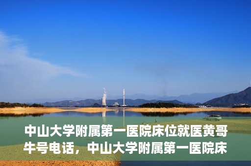 中山大学附属第一医院床位就医黄哥牛号电话，中山大学附属第一医院床位预约就医攻略，黄哥牛号电话全解析